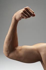 musclemass.jpg