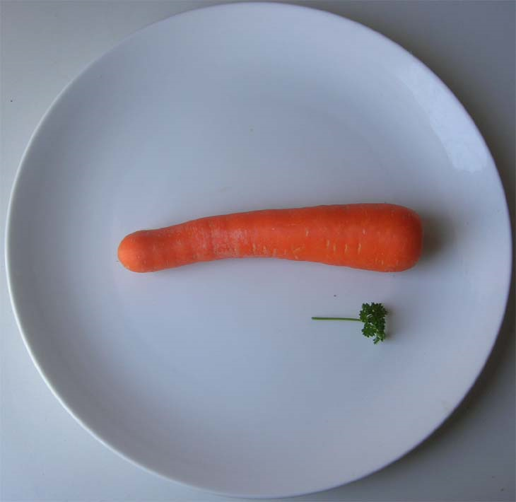 carrot-plate.png