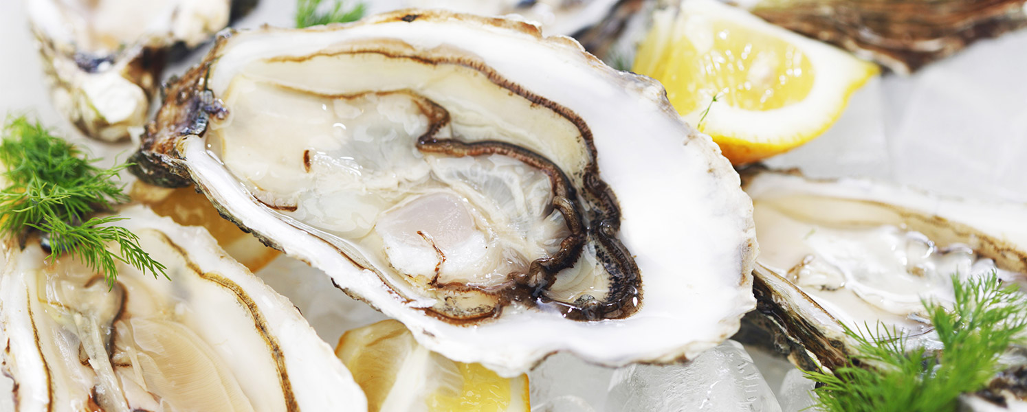 Oysters in their shells with lemon and dill