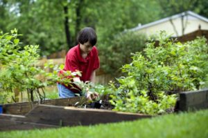 boy-in-garden.jpg