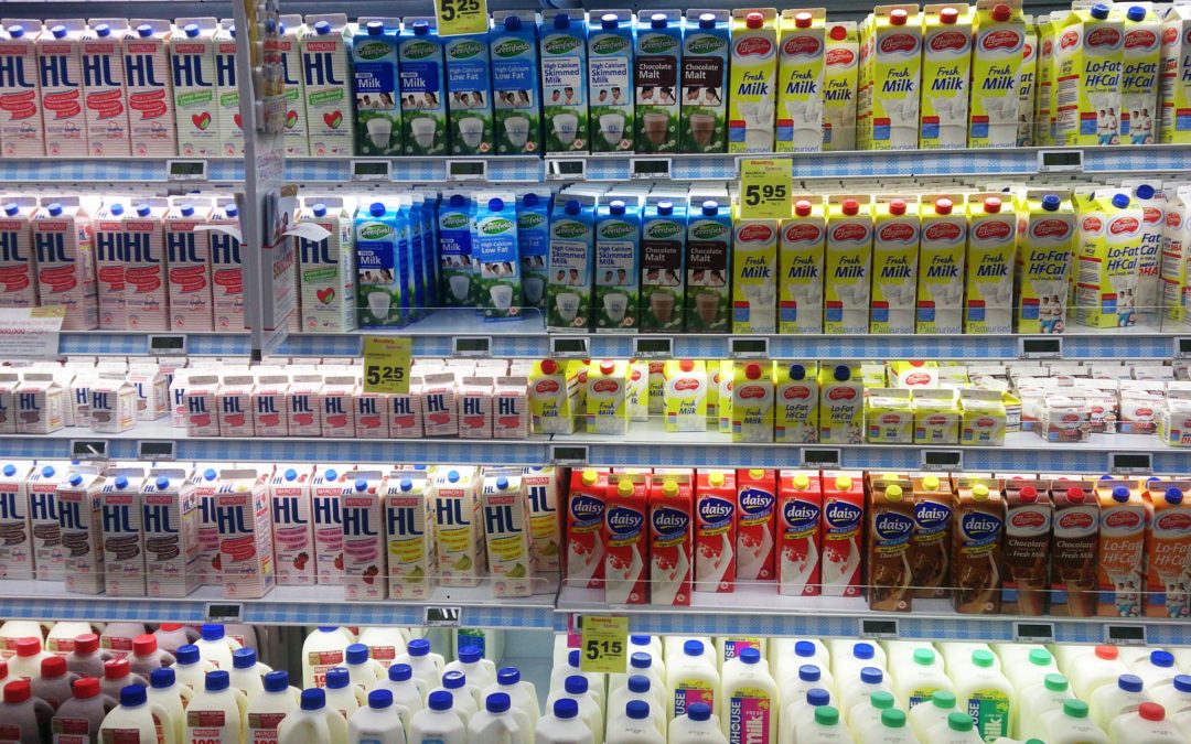 Which milk should i choose?