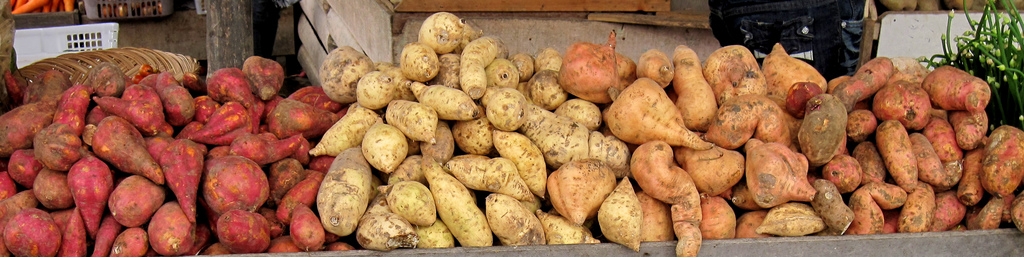 White potato vs. sweet potato- Which is best?
