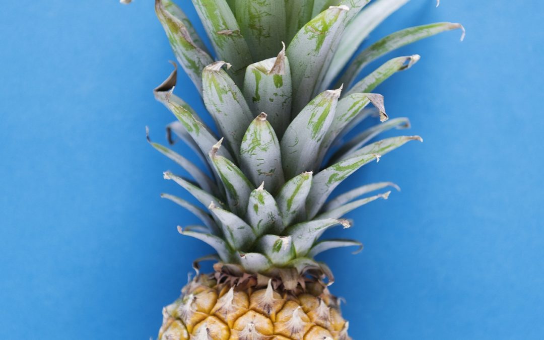 Will eating pineapple improve embryo implantation?