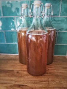 kombucha pregnancy