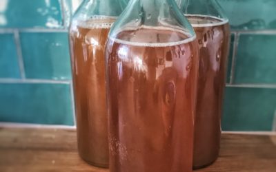 Is kombucha pregnancy safe?