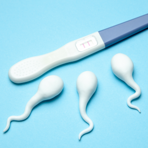What should I eat to get pregnant fast?